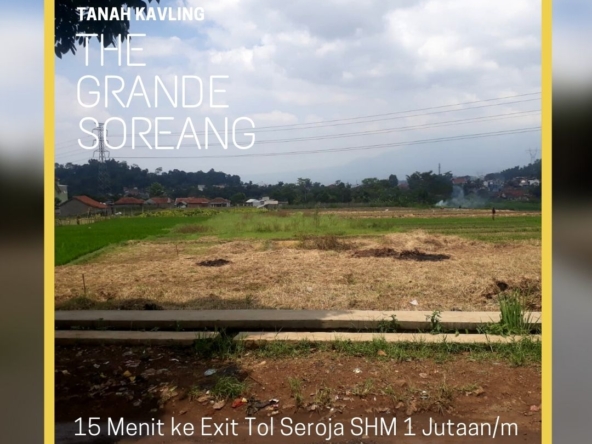 Perspektif Lahan Matang 4