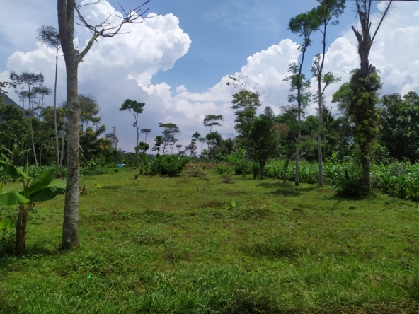 WhatsApp Image 2022 04 04 at 08.49.21