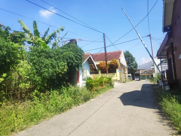 WhatsApp Image 2022 07 26 at 09.43.33