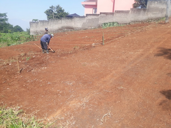 WhatsApp Image 2022 07 26 at 09.59.09