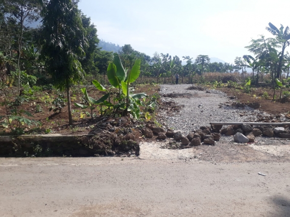 WhatsApp Image 2022 07 31 at 3.13.30 PM 1